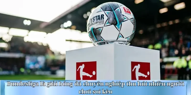 Bundesliga là giải bóng đá chuyên nghiệp thu hút nhiều người chơi soi kèo